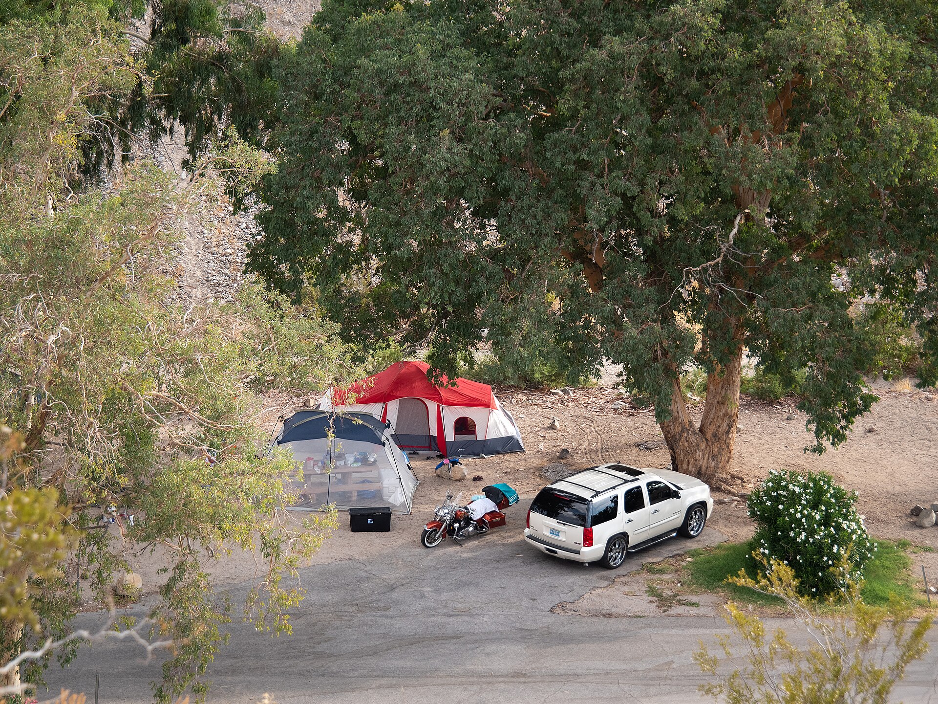 Two tents pitched in the shade of a large cottonwood at a desert campground, with the bare ground beyond them in full sun.
